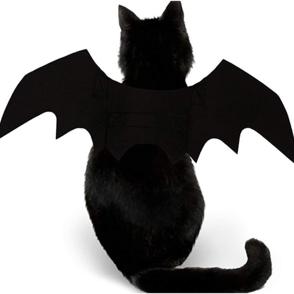 Pet Cat Bat Wings For Halloween Party Decoration, Puppy Collar Leads Cosplay Bat Costume,Cute Puppy Cat Dress Up Accessories