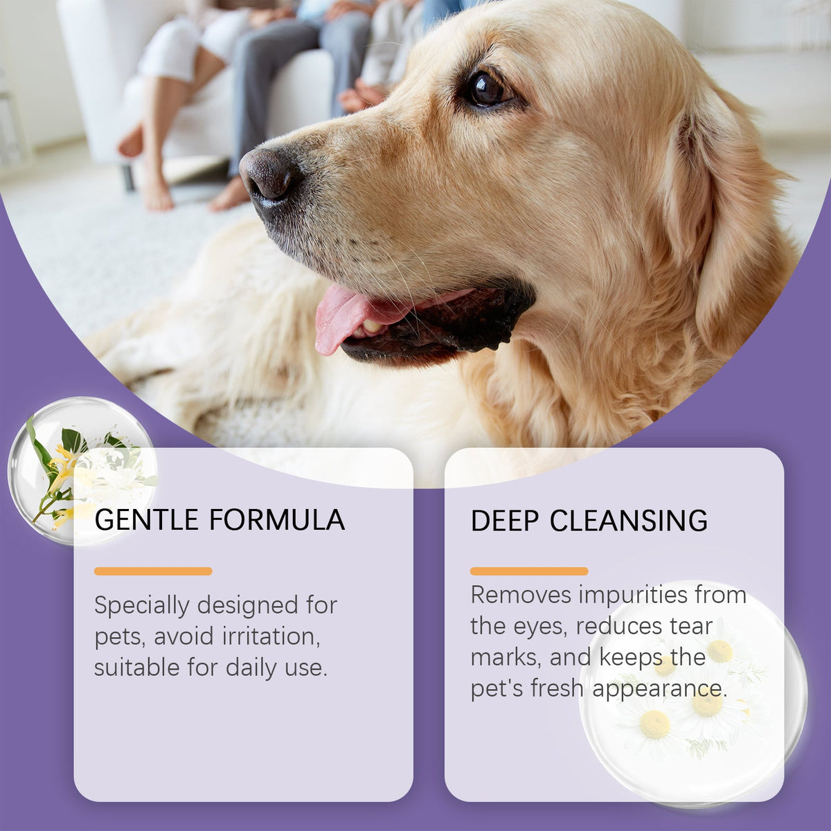 Pet Eye Rinse For Dogs & Cats, Gentle Eye Cleaner Solution With Hyaluronic Acid, Honeysuckle Extract & Taurine, Tear Stain Remover For Daily Eye Care, 30ml With Cotton Swabs