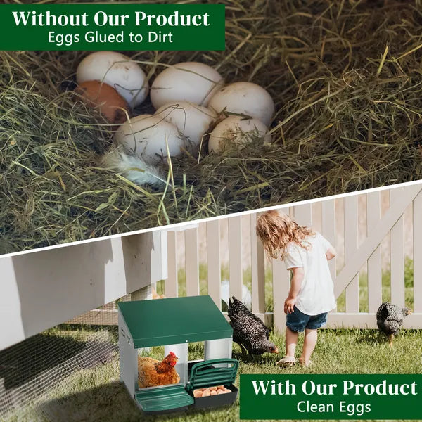 2 Compartment Roll Out Chicken Nesting Box With Plastic Basket, Egg Nest Box Chicken Laying Box Hens Chicken Coop Box, Green