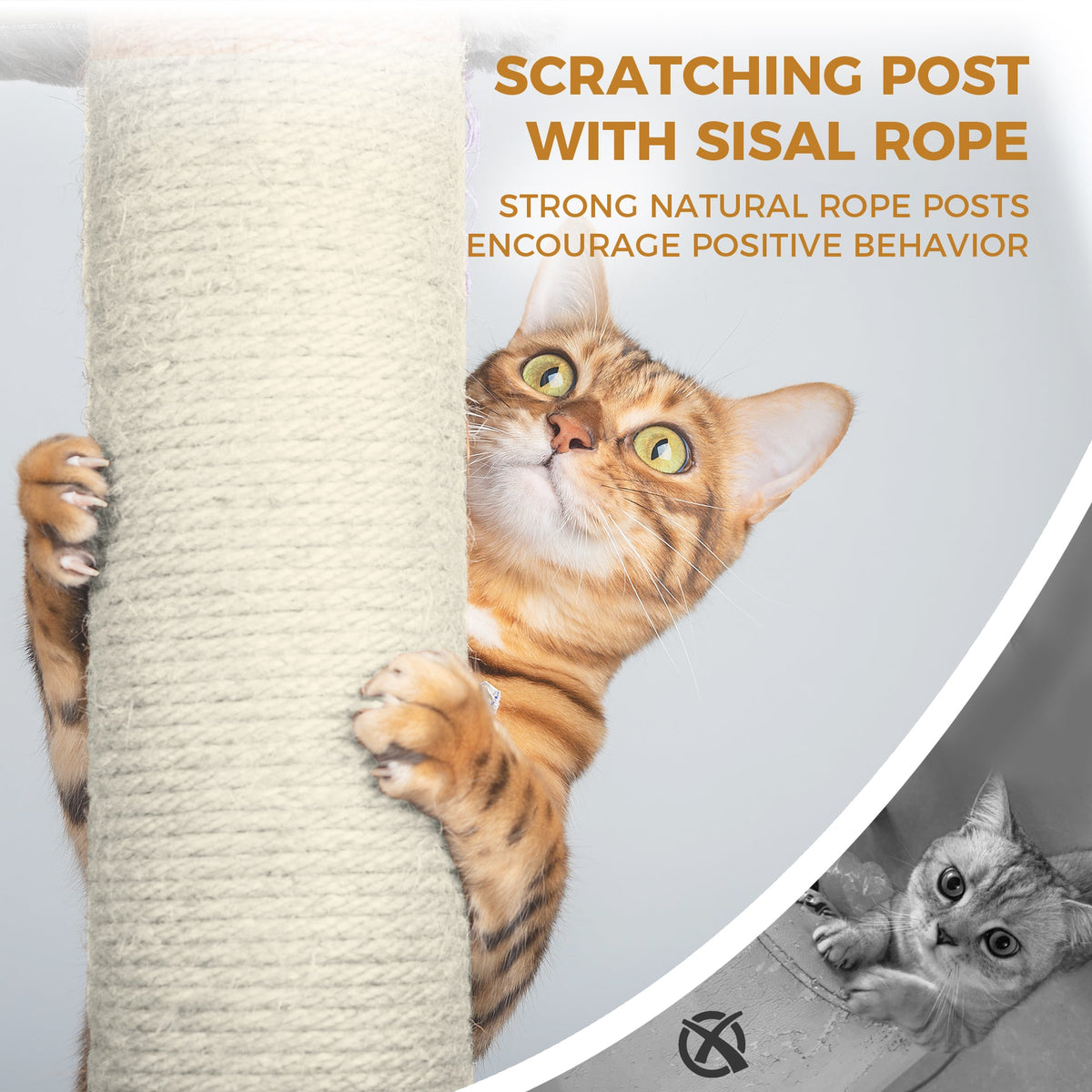 68in Tall Multi-Level Green Cat Tree with Hammocks, Hanging Basket, Cat Cave, Removeable Cushion, Scratching Posts - Plush Cat Tower for Indoor Cats, Perfect for Multiple Cats Beige