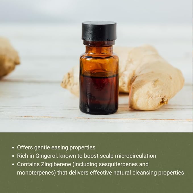 Ginger Essential Oil