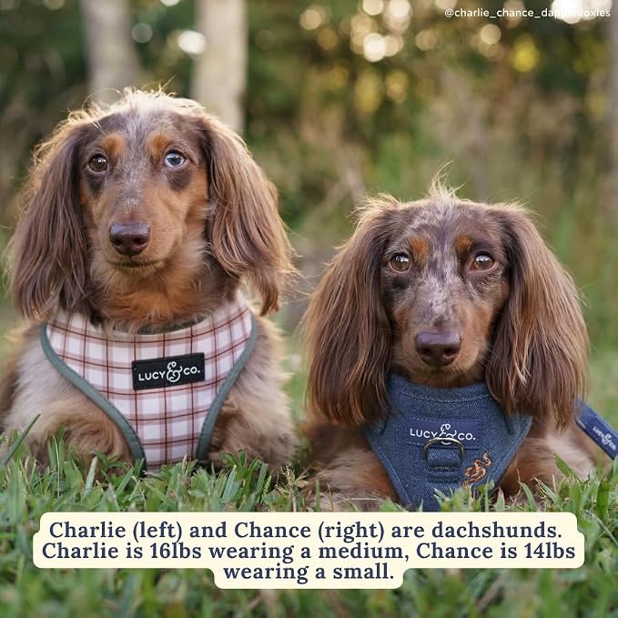 Lucy & Co. Reversible Dog Harness - Water-Repellent Neoprene, Dual-Print Design, Easy Swap Style, Adjustable Comfort Fit - Camp Out Reversible Harness - X-Large