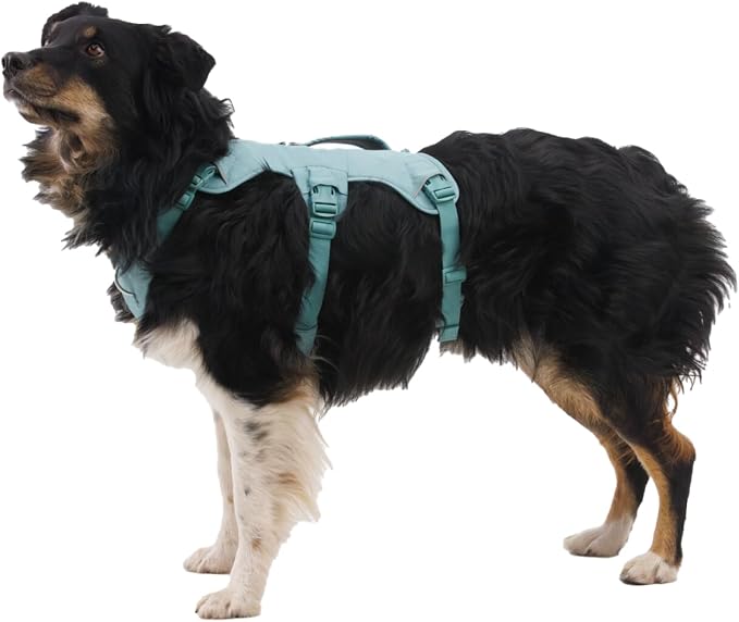 Ruffwear, Web Master, Multi-Use Support Dog Harness, Hiking and Trail Running, Service and Working, Everyday Wear, Red Canyon, X-Small