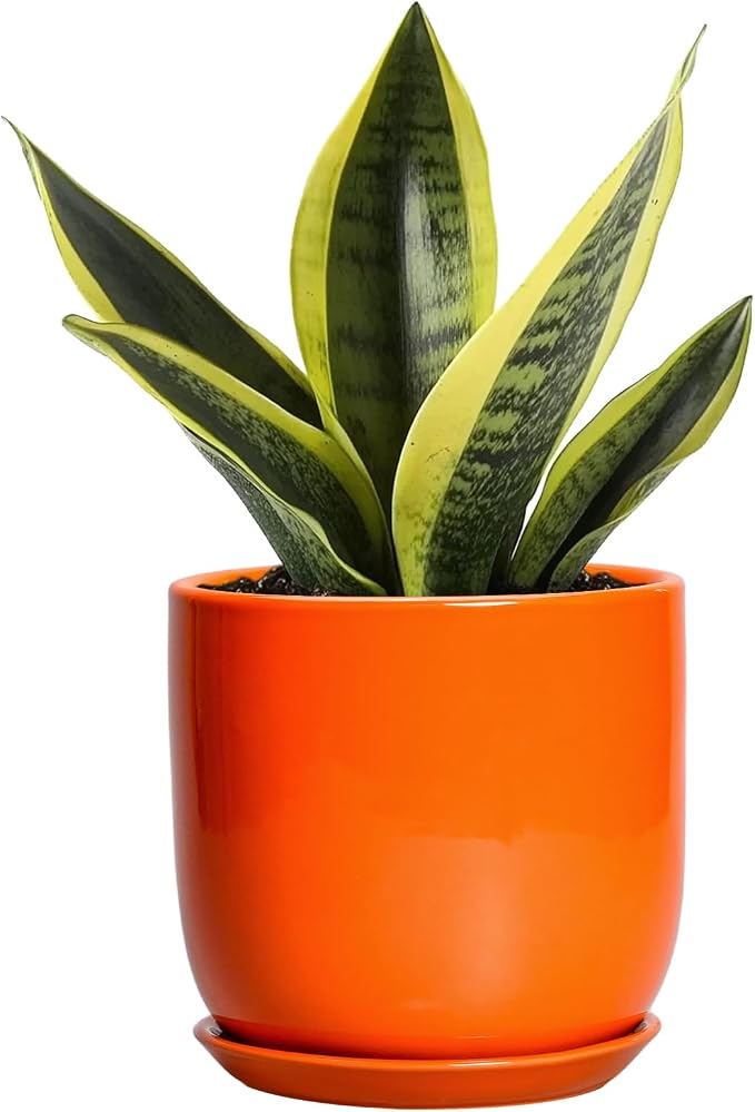 5 Inch Plant Pot - Ceramic Planter for Succulent Cactus Herbs Indoor Plants, Modern Round Flower Pot with Drainage Hole and Saucer, Gifts for Plant Lovers, Patio Office Home Decor, Orange