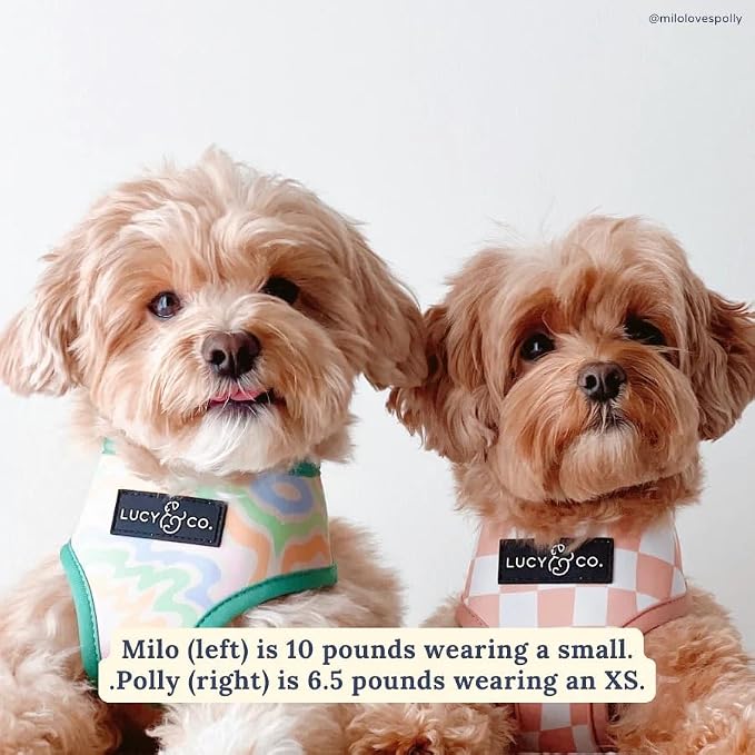 Lucy & Co. Reversible Dog Harness - Water-Repellent Neoprene, Dual-Print Design, Easy Swap Style, Adjustable Comfort Fit - Just Chill Reversible Harness - X-Large