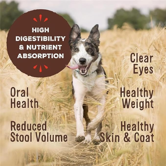 Primal Freeze Dried Dog Food Nuggets, Chicken; Complete Balanced Meal, Topper or Treat; Premium, Healthy, Grain Free, High Protein Raw Dog Food, 30 oz