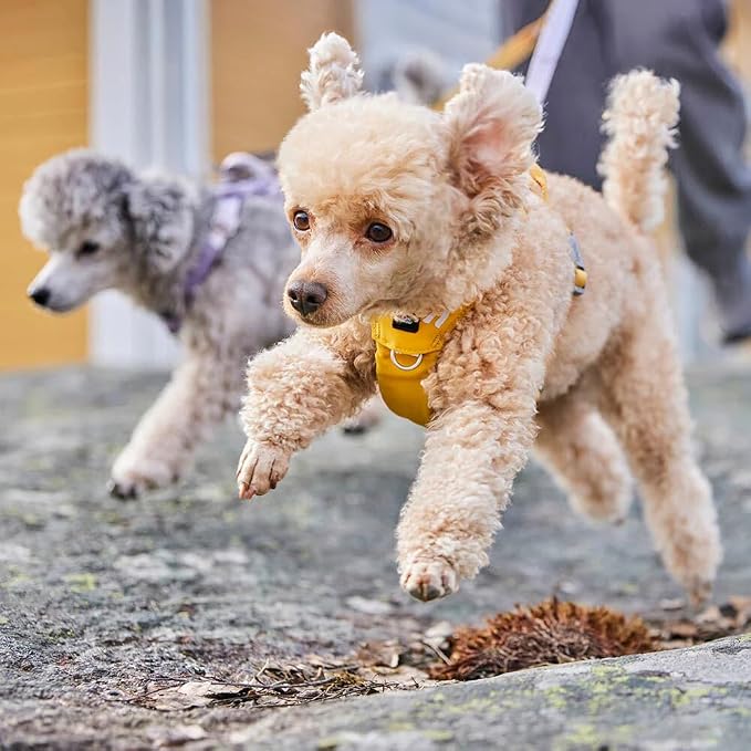 Hurtta Seeker Harness, Lavender, 16-20 in