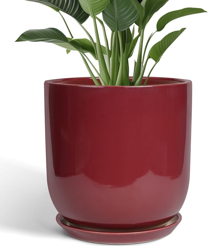Ceramic Pots for Plants - 12 Inch Plant Pot Indoor with Drainage Hole and Saucer Large Planter Outdoor Flower Pot for Home Patio Office Decor Red