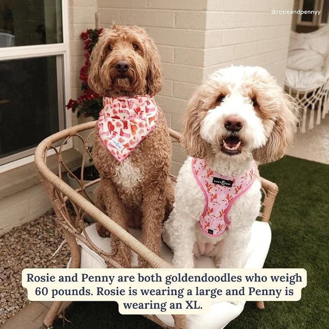 Lucy & Co. Reversible Dog Harness - Water-Repellent Neoprene, Dual-Print Design, Easy Swap Style, Adjustable Comfort Fit - Howdy Honey Reversible Harness - X-Small