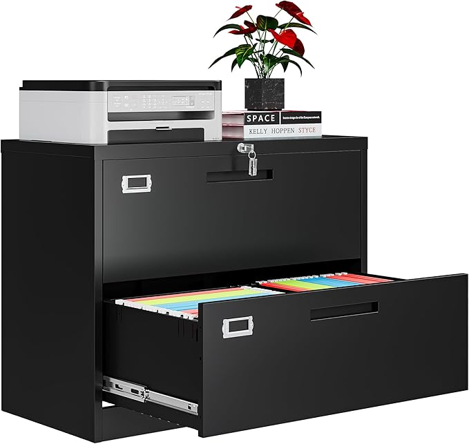 2 Drawer File Cabinets for Home Office, Metal Filing Cabinet