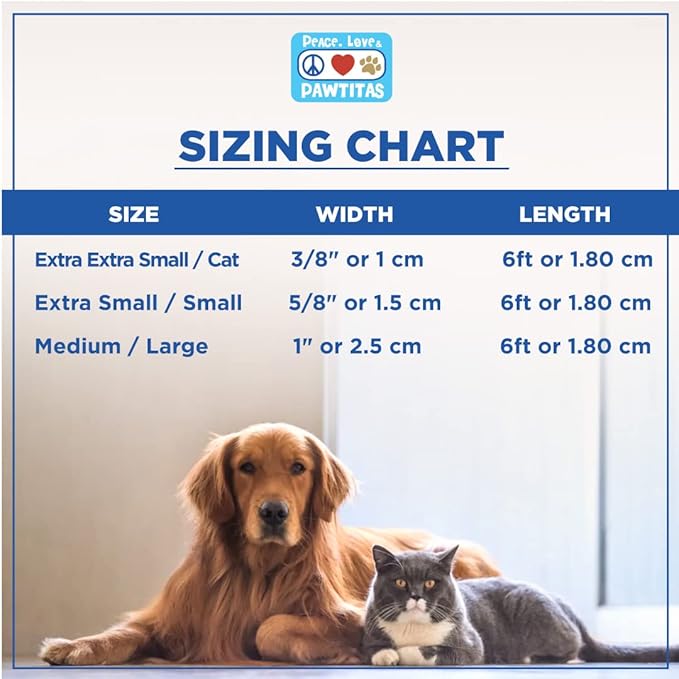 Pawtitas 6 FT Solid Color Leash for Puppy & Cat Training - Extra Small, 6 ft or 1.8 m, Blue