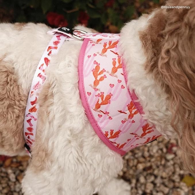 Lucy & Co. Reversible Dog Harness - Water-Repellent Neoprene, Dual-Print Design, Easy Swap Style, Adjustable Comfort Fit - Howdy Honey Reversible Harness - X-Small