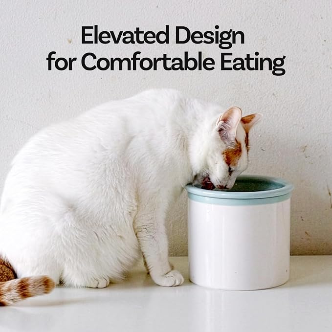 Hello Bowl Elevated Ceramic Cat Bowl with Stand, Raised Whisker-Friendly Feeding Bowl for Cats & Small Dogs, Patented Design, Made in Korea (3.9" H - White, Square/Dry)