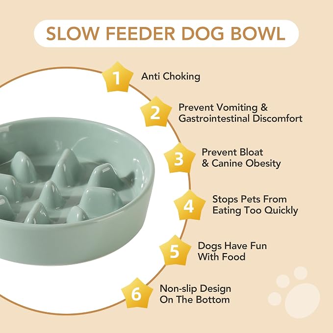 Havniva Dog Bowls Slow Feeder, Ceramic Slow Feeder Dog Bowls for Fast Eater | 1.2 Cups Dog Food Bowl Puzzle Feeder, Slow Feeding Bowls for Small & Medium Breed, Non-Slip Base, Anti-Choking