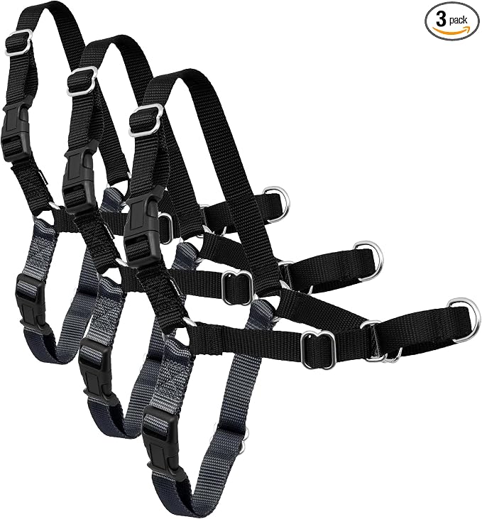 PetSafe Easy Walk Harness for Dogs - Pull-Free Walks - Patented Martingale Loop Design - Front Chest Leash Attachment - Comfort Straps - Breathable Harness Design - Large, Charcoal/Black(Pack of 3)