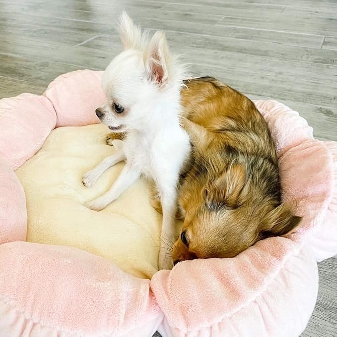 TONBO Soft Plush Small Cute and Cozy Pastel Pink Flower Dog Cat Bed, Washer and Dryer Friendly, (Pastel Pink)
