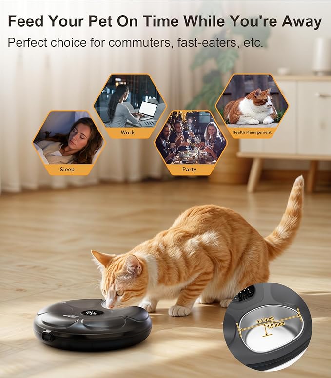 Casfuy Automatic Cat Feeder Cordless