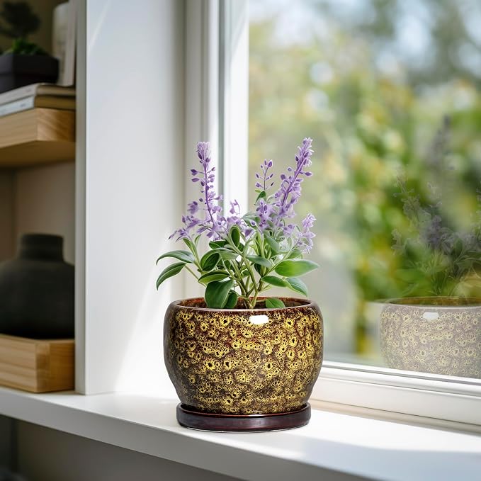 SQOWL 6 Inch Plant Pot - Ceramic Flower Pots with Drainage Hole and Saucer, Ceramic Planter for Indoor Plants Outdoor, Round Decorative Small Planter, Table Desk Decor, Housewarming Gifts, Yellow