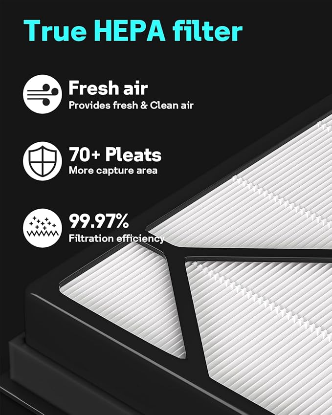 Leemone 2 Pack Filter Replacement