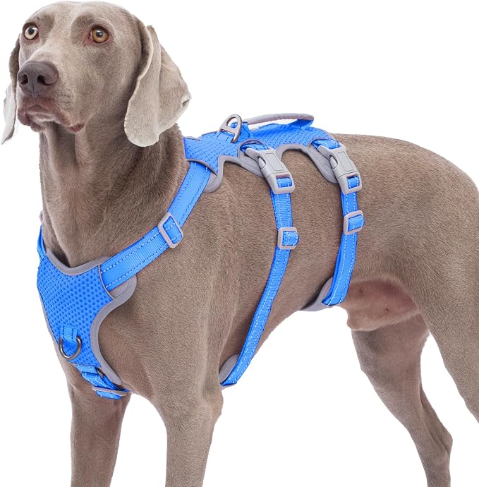 Escape Proof Dog Harness,No Pull Reflective Harness with Lift Handle,Adjustable Pet Vest with Front and Back Leash Clips for Small Medium Large Dogs Walking Hiking Training (Sea Blue,XL)