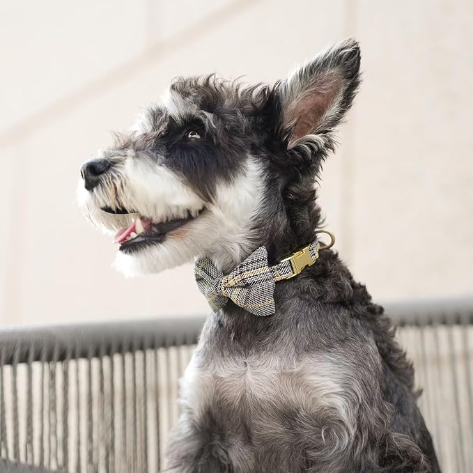 Beirui Cute Extra Small Dog Harness Collar and Leash Set with Bowtie, Soft Adjustable Plaid Puppy Harness for Small Sized Dogs Cats Walks Parties and Photoshoots(Gray,XS:Chest 13-18")