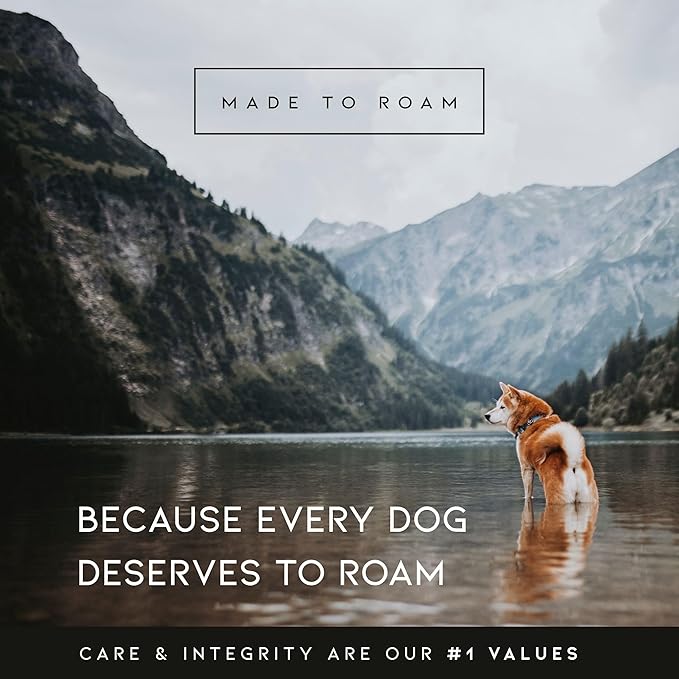 MADE TO ROAM Premium Explorer Harness - Y-Shaped Dog Harness with Adjustable Durable Nylon, Soft Padding, Metal Buckles and Leather Handle for Small, Medium, Large Dogs (Vermont Weekends, Size 4)