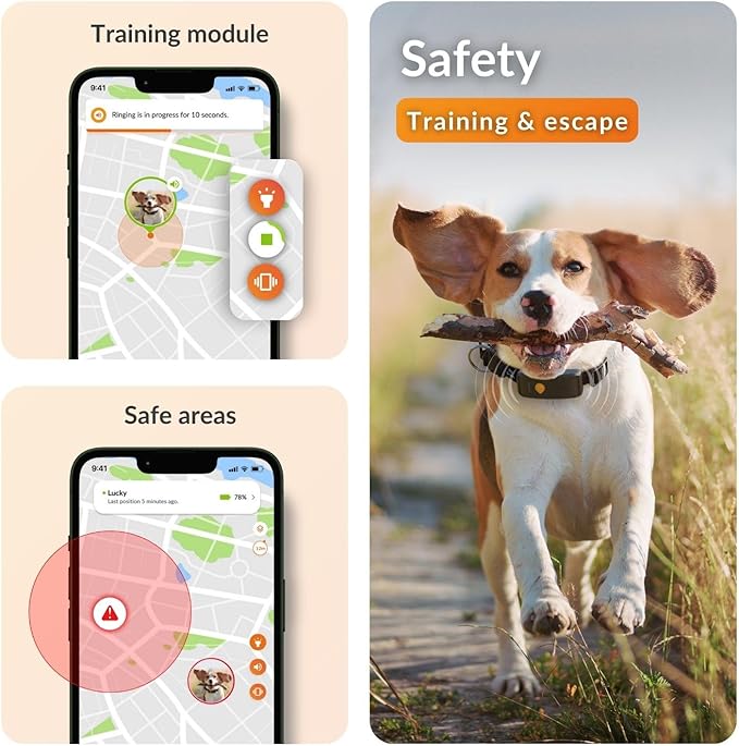 Weenect Dog XT - New GPS Collar