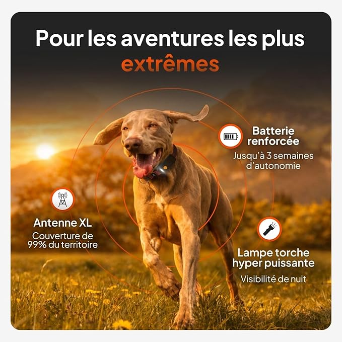 Weenect Dog XT - New GPS Collar