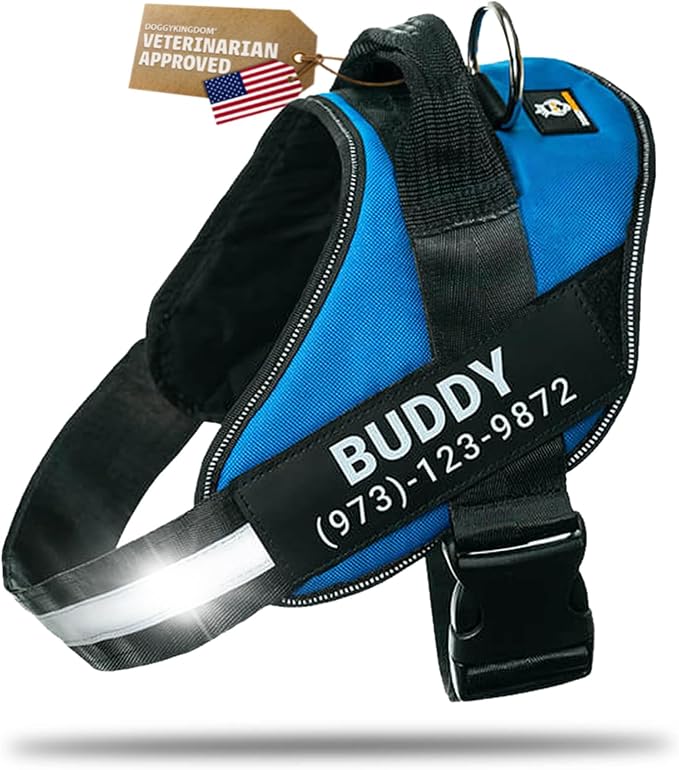 Personalized Dog Harness with Custom Name Patches, Adjustable Reflective No Choke Dog Vest with Handle for Small Dogs and Growing Puppy, Blue, XS