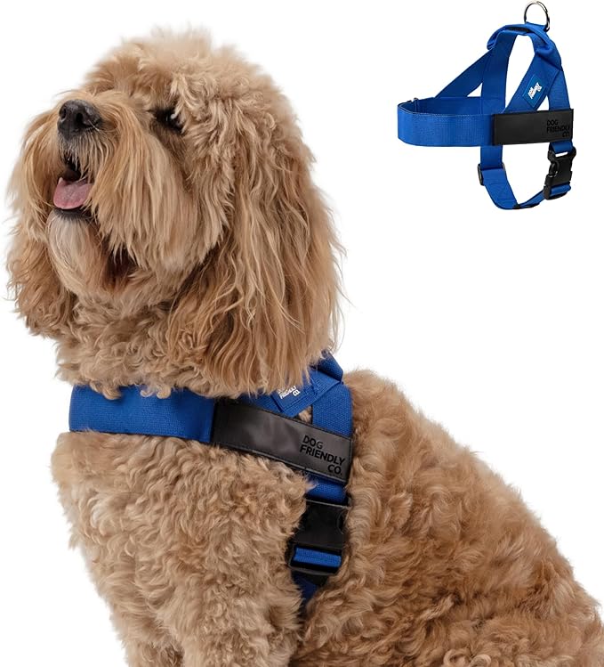 Dog Friendly Co. Dog Harness for Small Dogs (Classic Blue, Small) | One Click Buckle, Chafe Resistant Webbing, Adjustable Neck & Chest, and Heavy Duty D-Ring, Sturdy Comfortable and Easy to Use