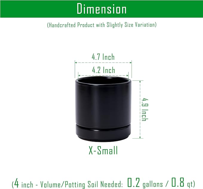 D'vine Dev Set of 2 Plants Pot, 4.7 Inch Ceramic Planter Pot for Plants with Drainage Hole and Saucer, Black, 94-V-B-2