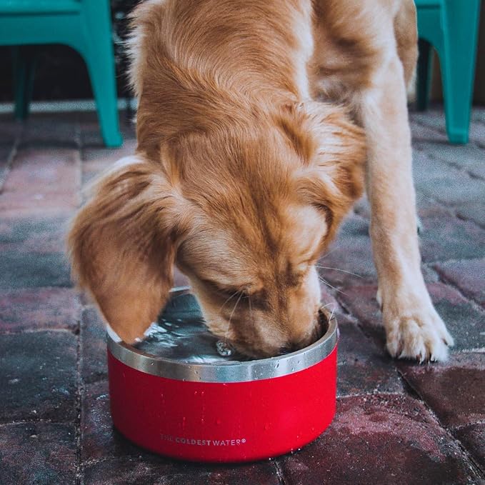 Coldest Dog Bowl - Anti Rust Metal, Non Slip, 3 Layers Insulated Stainless Steel Dog Bowls - Spill Proof & Heavy Duty - Water Bowl for Dogs, Cats & Pets, Dish Washer Safe (100 oz, Epic White)