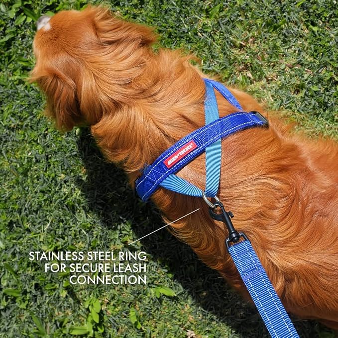 EzyDog Quick Fit Dog Harness, Soft Neoprene Padding - Small, Gray | Fast One-Click Buckle, Adjustable Fit, Strong Reinforced Materials, Reflective Stitching, No Pull Dog Harness, Easy Walking
