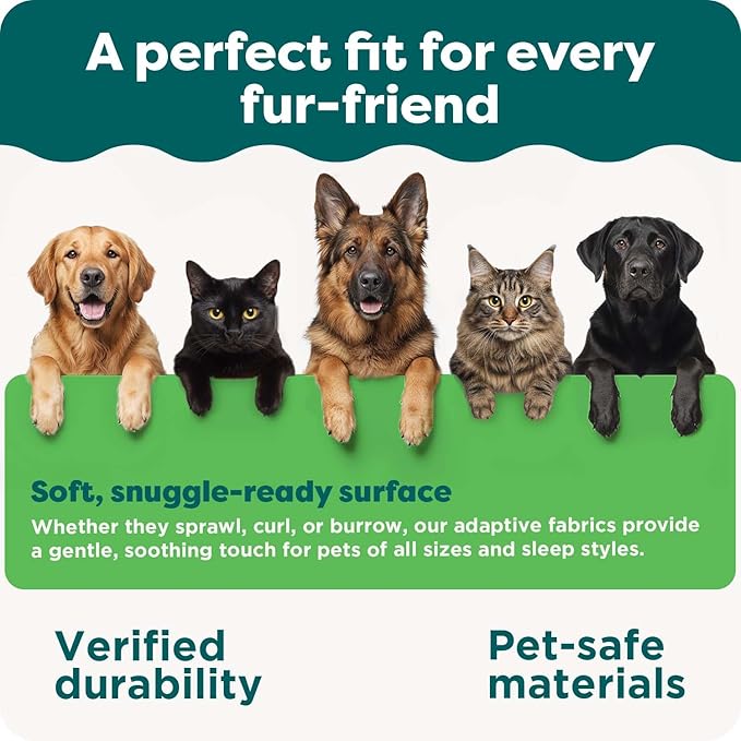 Furhaven Orthopedic Dog Bed for Large/Medium Dogs w/ Removable Bolsters & Washable Cover, For Dogs Up to 55 lbs - Plush & Suede Sofa - Gray, Large