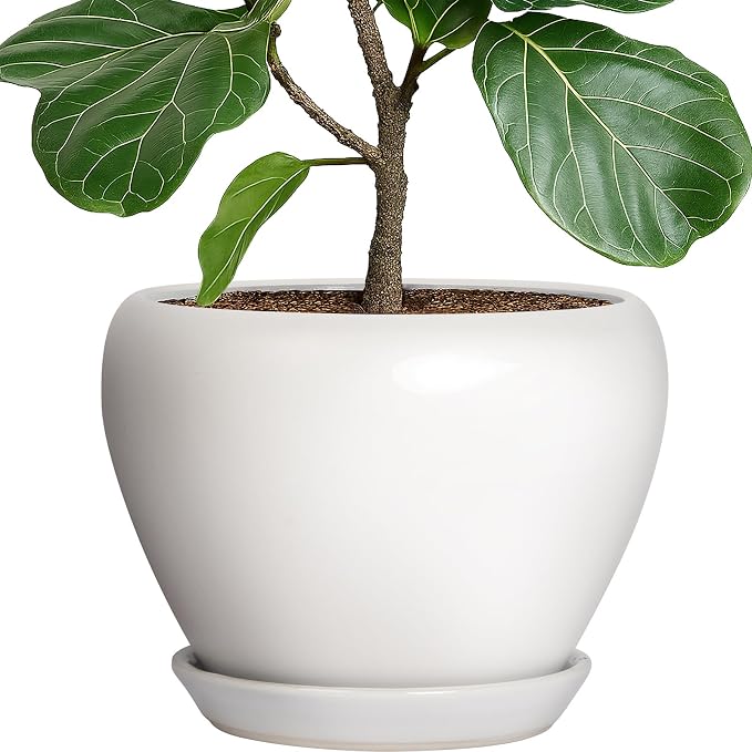 Deep Dream 10 Inch Plant Pot- Ceramic Planter Pot Round Plant Pots for Indoor Plants Outdoor Large Flower Pot with Drainage Holes & Trays, White