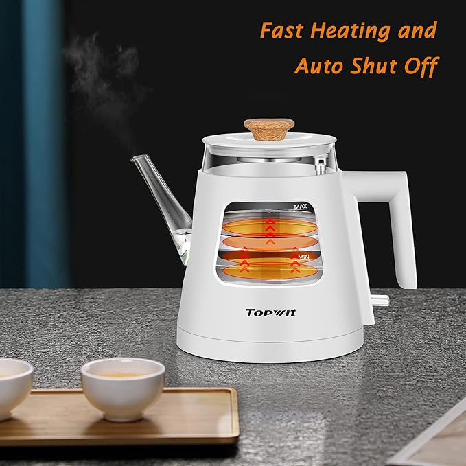 TOPWIT Electric Kettle, 1.0L Electric Tea Kettle