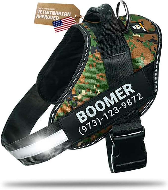 Personalized Dog Harness with Custom Name Patches, Adjustable Reflective No Choke Dog Vest with Handle for Small Sized Dog, Military Green, S