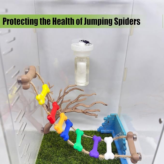 Jumping Spider Water Dispenser, Magnetic Hanging Feeder,Suitable for Jumping Spiders,Tarantulas, Praying Mantises,Arboreal Animals, and Other Small Animal Enclosure Accessories (Transparent, 5ML)