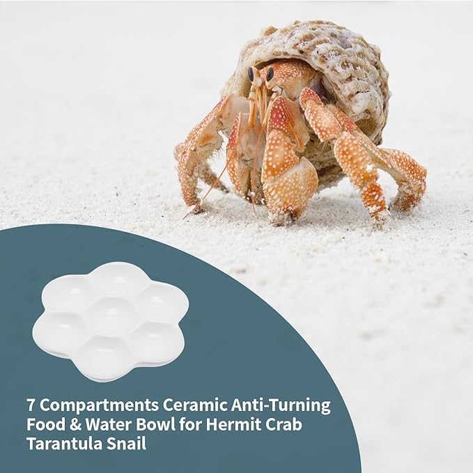3.5" Hermit Crab Ceramic Food Dish,7 Compartments Ceramic Anti-Turning Food & Water Bowl for Hermit Crab Tarantula Snail,2Pcs