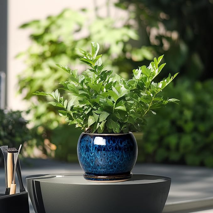 SQOWL 6 Inch Plant Pot - Ceramic Planter Pot with Drainage Hole and Saucer, Succulent Pot Round Flower Pot for Indoor Plants Outdoor, Blue