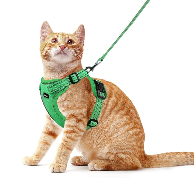 Rttochfy Cat Harness and Leash Set, Adjustable and Reflective Cat Vest, Escape Proof Kitten Harness, Easy to Put on with 3 Buckles for Cats Walking and Traveling (Green, L)