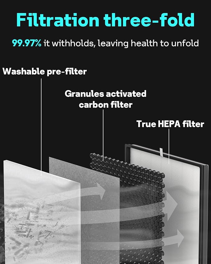 Leemone 2 Pack Filter Replacement