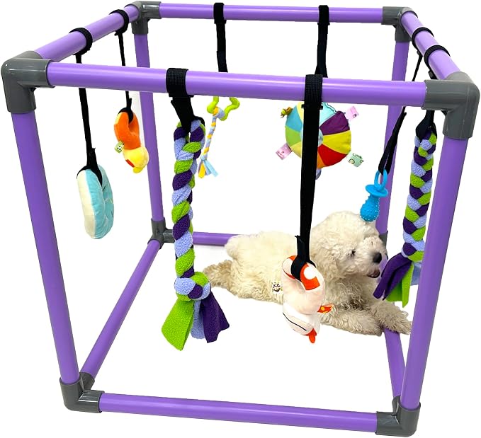 Puppy Play Gym for small dogs with 8 Hanging Interactive Toys Indoor Play | Funny Enrichment Jungle Playground to Keep Them Busy,with Bungee Straps for self-play,19.5*19.5*19.5in