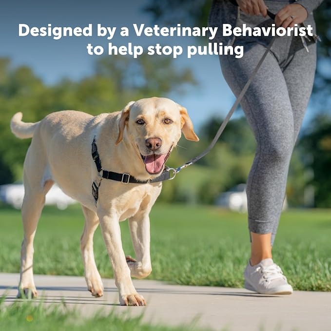PetSafe Easy Walk Harness for Dogs - Pull-Free Walks - Patented Martingale LoopDesign-Front Chest Leash Attachment - Comfort Straps-Breathable Harness Design-Small,Charcoal/Black (Pack of 3)