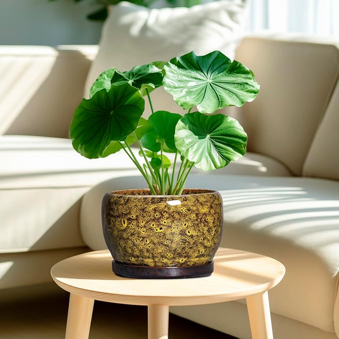 SQOWL Ceramic Flower Pots - 8 inch Ceramic Planter for Indoor Plants, Decorative Plant Pots with Drainage Hole and Saucer, Round Planter Outdoor, Porch Backyard Decor, Housewarming Gifts, Yellow