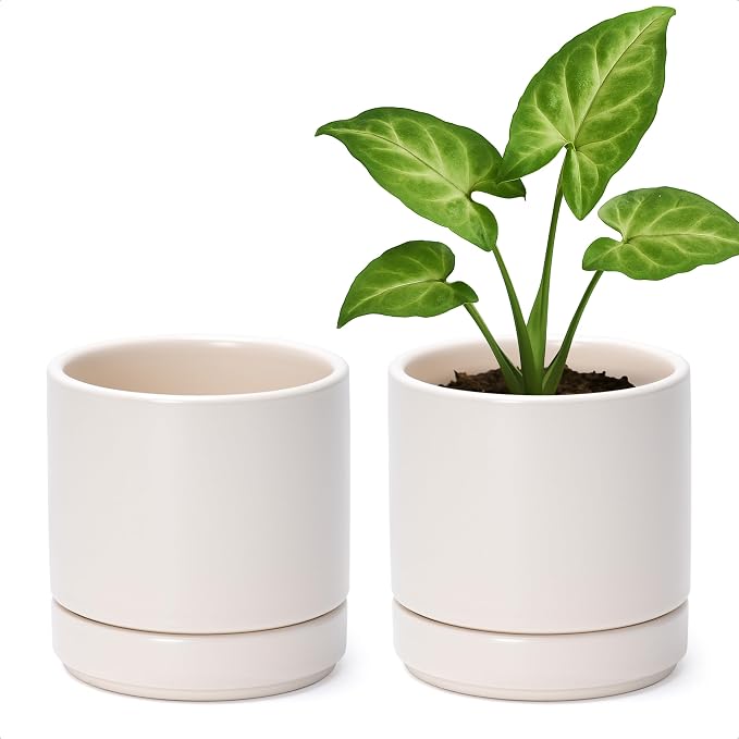 D'vine Dev Set of 2 Plants Pots, 4.7 Inch Ceramic Planter Pot for Plants with Drainage Hole and Saucer, Oatmeal, 94-V-B-8