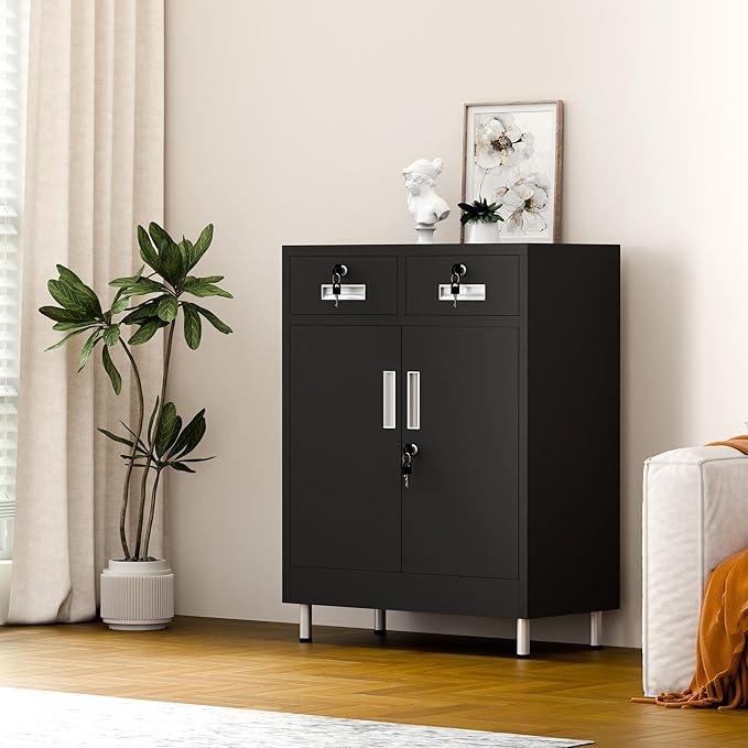 Metal Storage Cabinet with Locking Doors and 2 Drawers, Lockable Storage