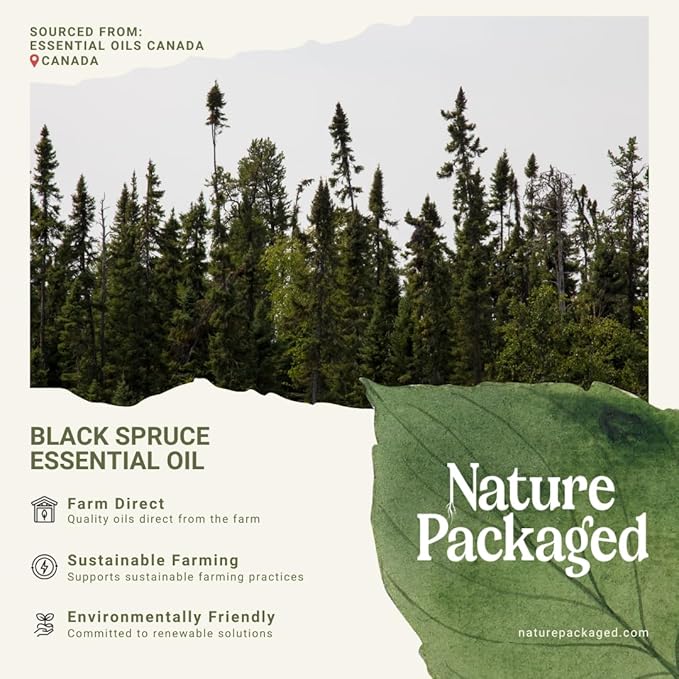 Black Spruce Essential Oil from Canada