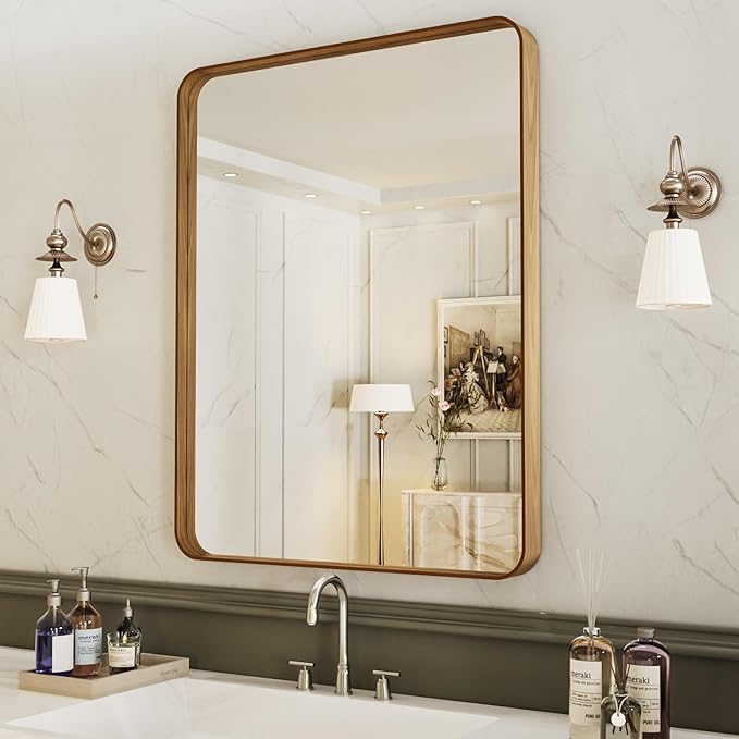 LOAAO 20X30 Inch Bathroom Mirror