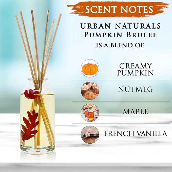 Urban Naturals Pumpkin Brulee Scented Sticks Reed Diffuser Oil Set | Fall &